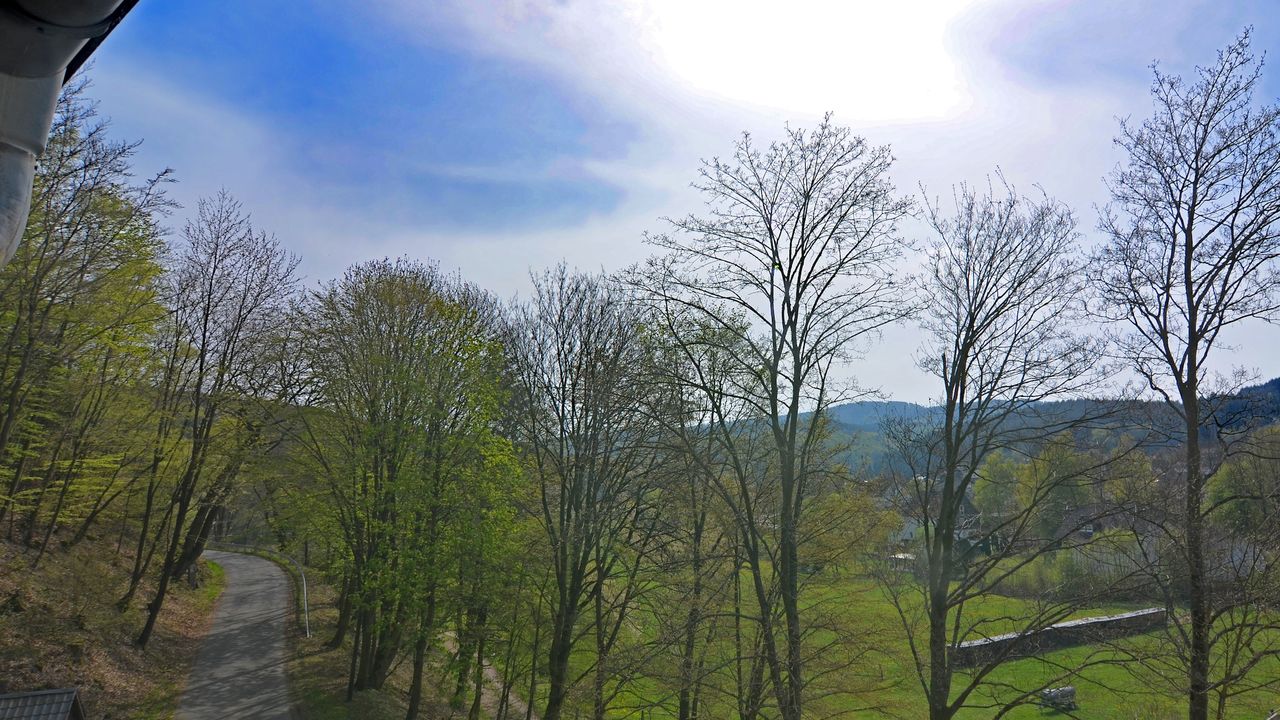 ViewSummer ViewSummer